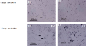 StemCellViabilityFat2